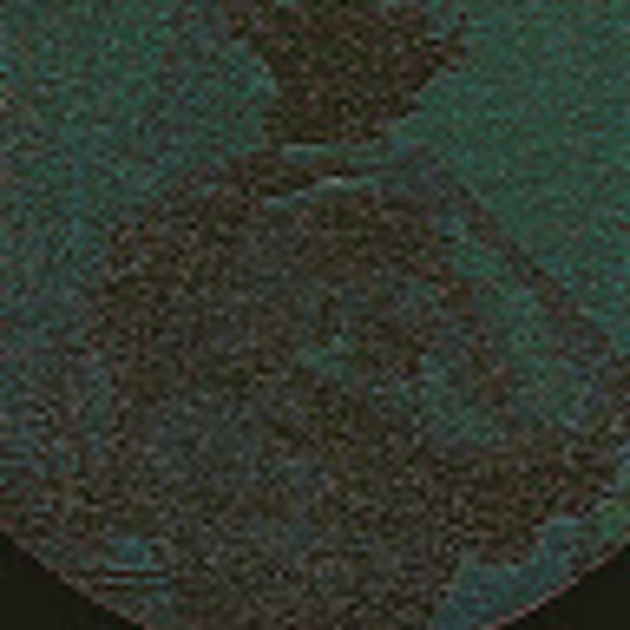 Meet your Posher, Justin - Picture 1 of 1